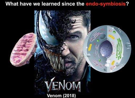 endo-symbiosis