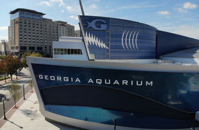 The Georgia Aquarium