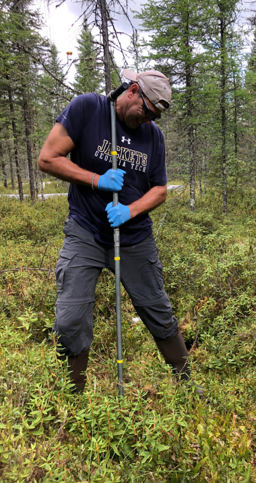 Joel Kostka takes soil samples at the SPRUCE facility in Minnesota. 