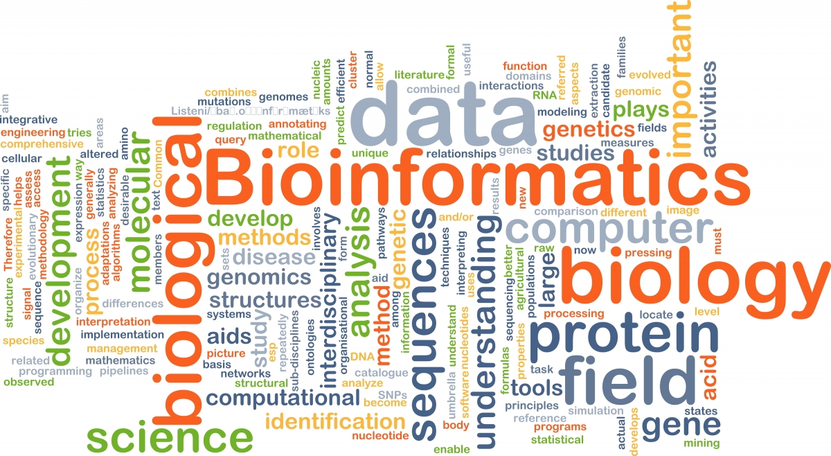 Bioinformatics wordcloud