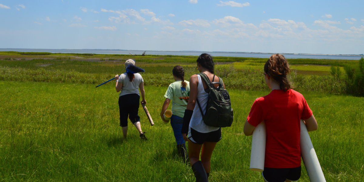 Students conducting research on Sapelo Island, GA.