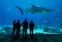 Georgia Tech Leading in the Quest for Ocean Solutions Georgia Tech Leading in the Quest for Ocean Solutions