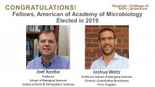 Kostka, Weitz: Fellows of the American Academy of Microbiology