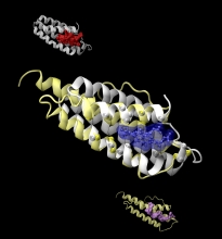 Drug Side Effects Drug Side Effects