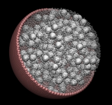 Cell Visualization1