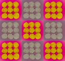 Fluorescein Fields Forever (c) Juan Mena and Veronica Montgomery