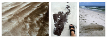 Oil contamination in Pensacola Beach, Florida (Photos by Markus Huettel)