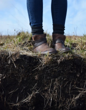 At just a few inches under our feet, the rhizosphere is described as a "hotspot for microbes." (Photo by Chad Ralston)