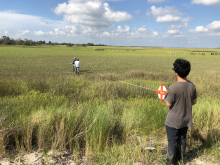 School of Biological Sciences researchers set up a study site near Dean Creek on Sapelo Island. (Photo Joel Kostka)