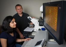 Exploring DNA repair Exploring DNA repair